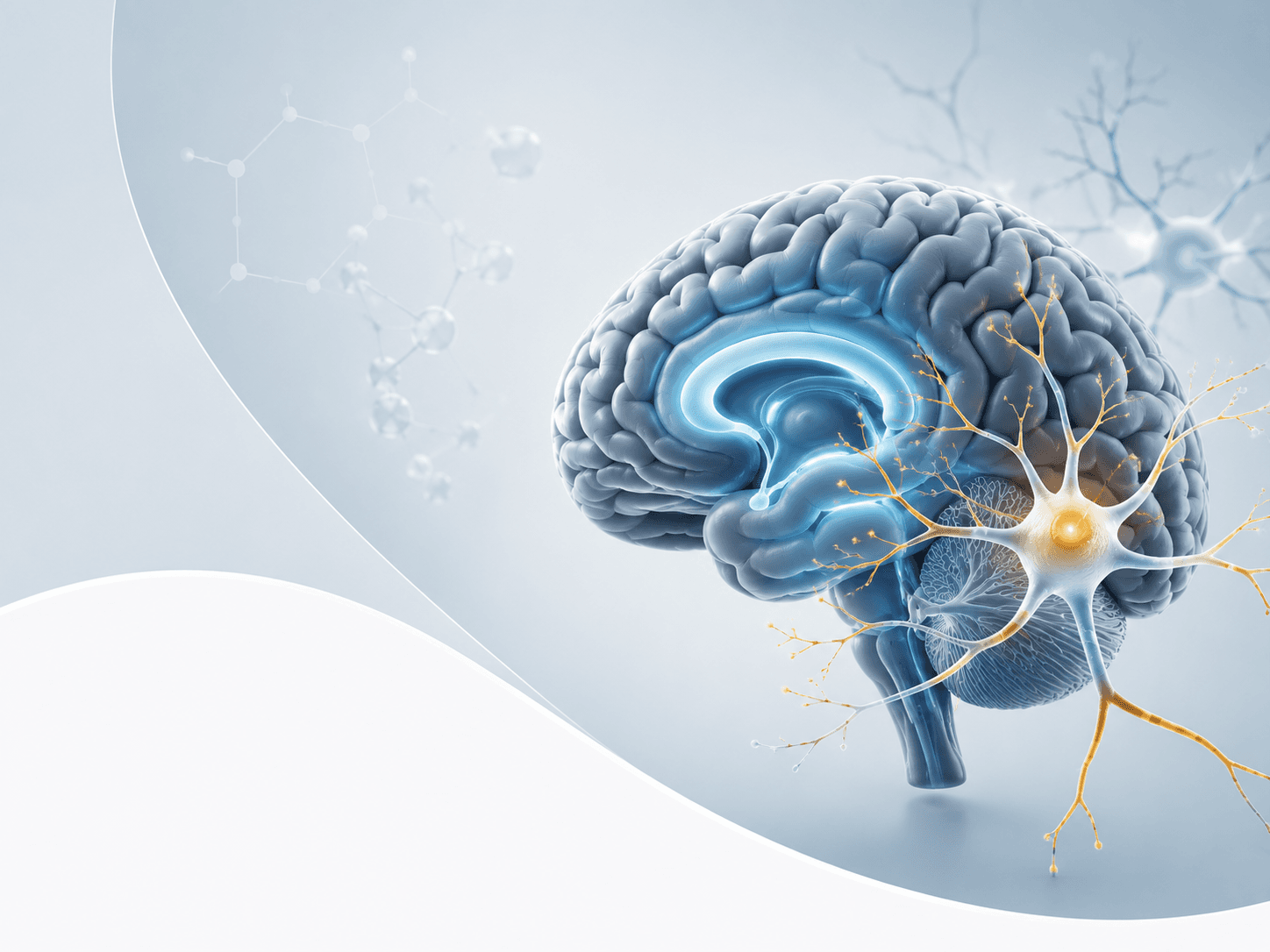 Neurology