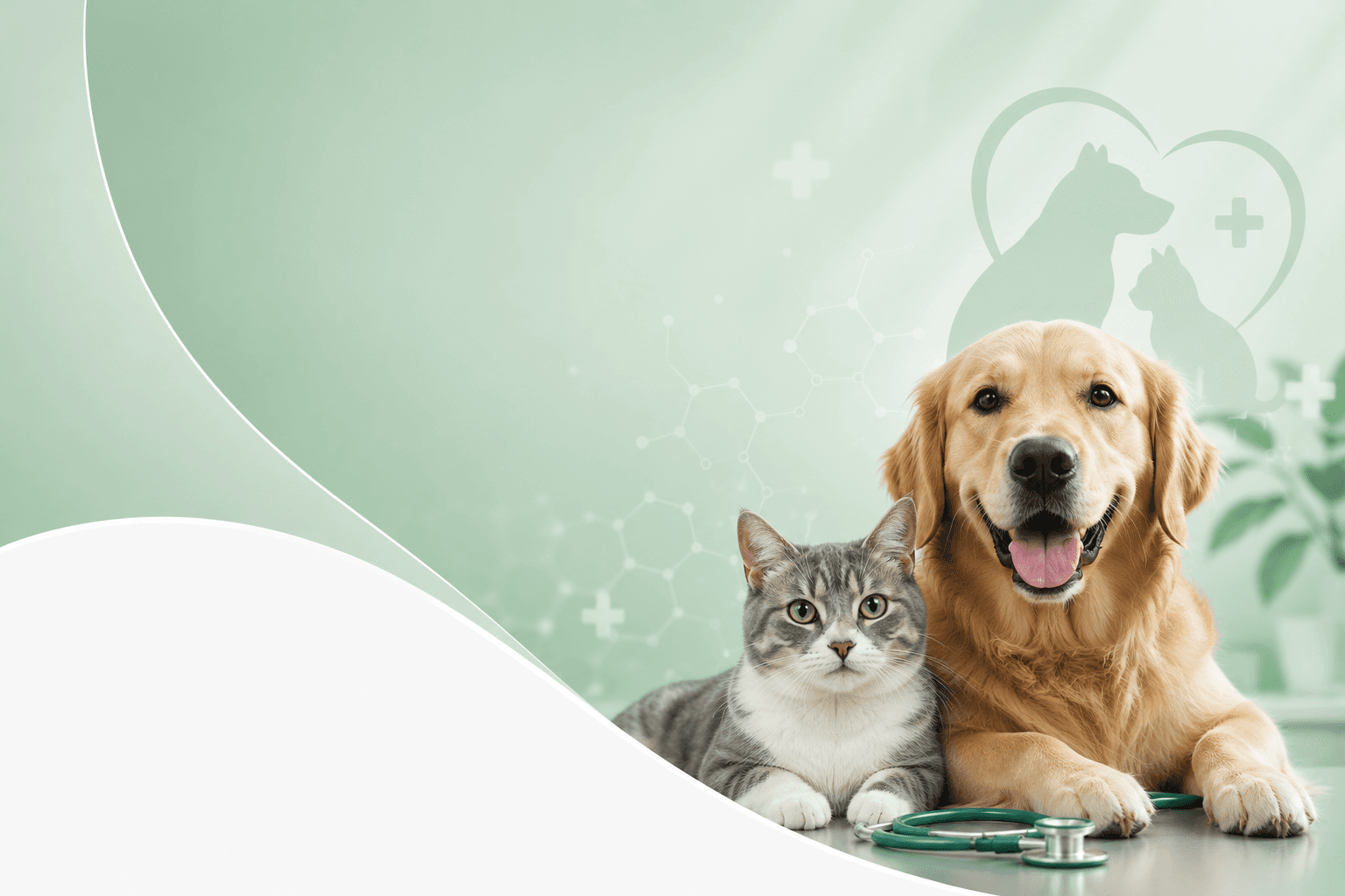 Veterinary