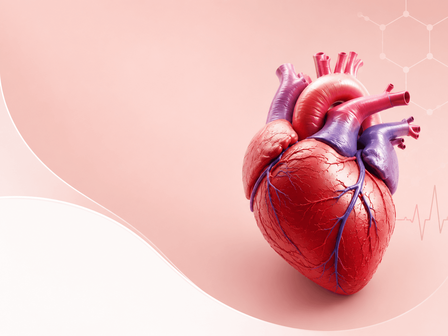 Cardiology